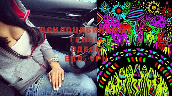 мяу мяу мука Алексин