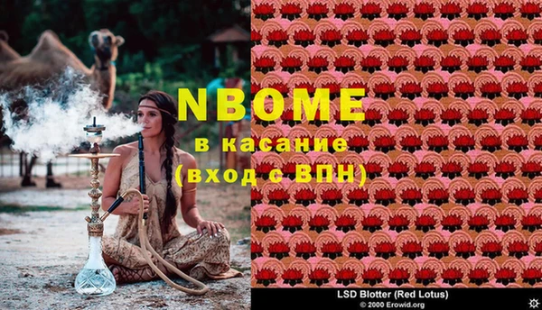тгк Алзамай