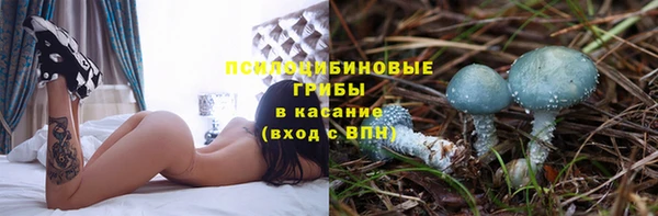 мяу мяу мука Алексин