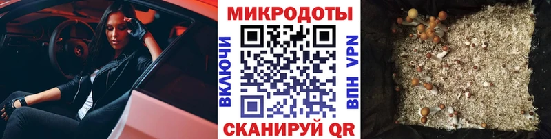 Галлюциногенные грибы ЛСД  Балашов 