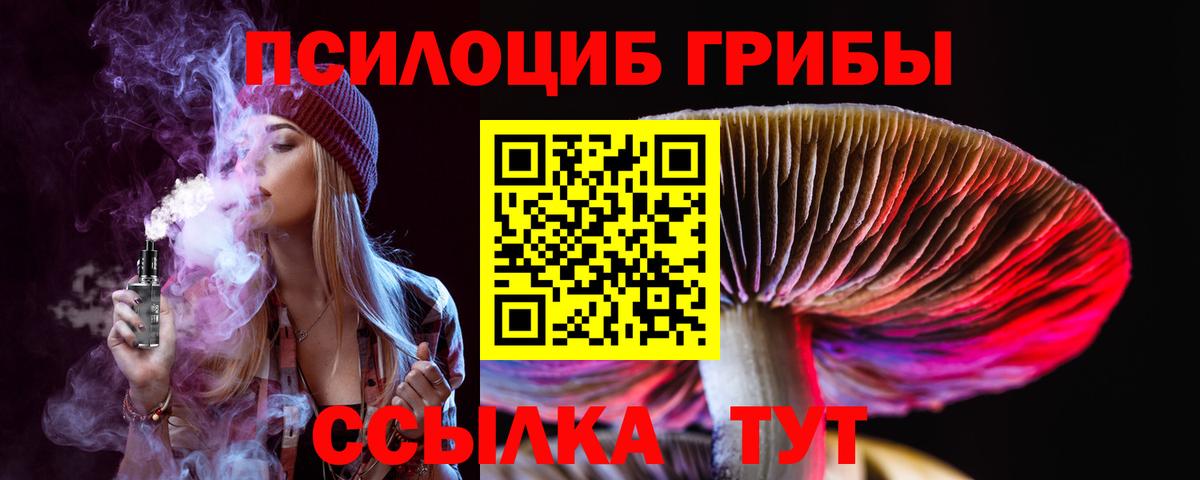 Балашов  где найти наркотики  Вход с VPN  Галлюциногенные грибы мицелий  Псилоцибиновые грибы мицелий 