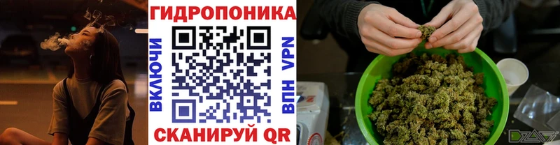 Бошки марихуана марихуана Балашов